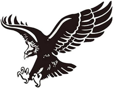 

marvellous Decorative Sticker for Windows, Sides, Bumper, Hood(Black)