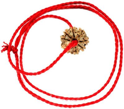 SHIVOHAM 8 Mukhi Rudraksha With Red Silk Dori Silk Dori Pendant