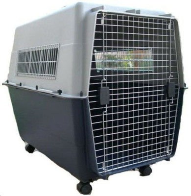 

Birds' Park fgh44 Dog, Cat, Ferret, Rabbit House