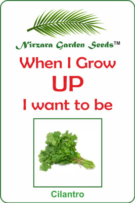 

Nirzara Garden Seeds Dhaniya Seed(30 per packet)