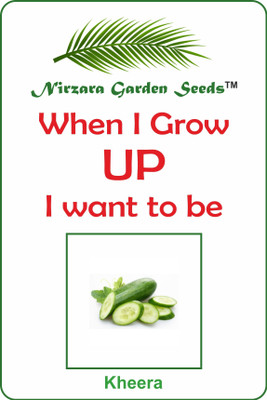 

Nirzara Garden Seeds Kheera (Cucumber) 30 Seed(30 per packet)