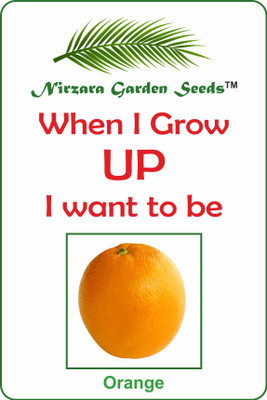Nirzara Garden Seeds Orange - 30 Seed(30 per packet)