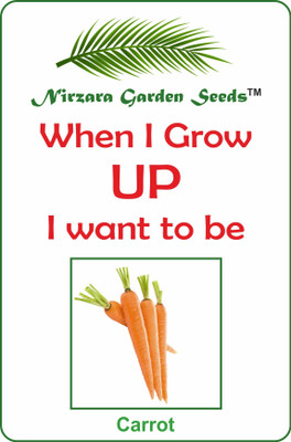 Nirzara Garden Seeds Carrot Seed(30 per packet)
