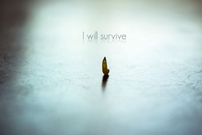 

I WILL SURVIVE QUOTE PAPER PRINT POSTER Paper Print(12 inch X 18 inch)