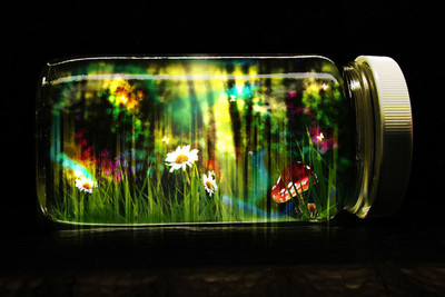 

BANK GLASS CAP BUTTERFLIES SCENIC PAPER PRINT POSTER Paper Print(12 inch X 18 inch)