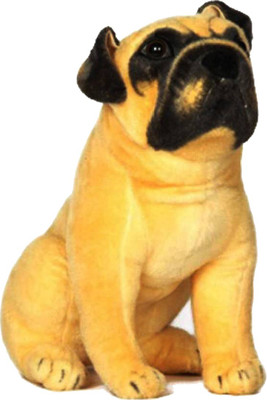 

CRAFTKAAR MDLPCKPUG 60cm - 36 cm(Black, White, Brown, Multicolor)