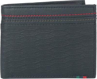 

Peter England Men Casual Grey Genuine Leather Wallet(8 Card Slots), Navy