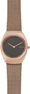 

Skagen SKW2651 Skagen Asta Mesh Watch Watch - For Girls