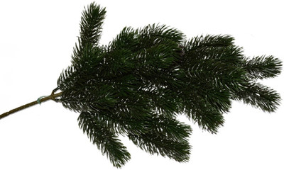 

christmas decoration 821 Tree Skirt Pack of 1