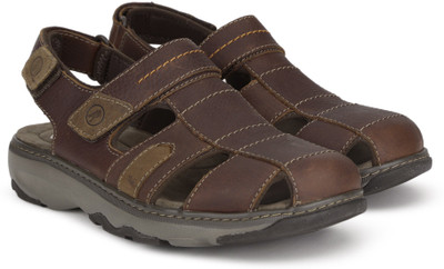 

Clarks Men Brown Casual