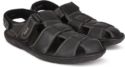 

Scholl Men Black Casual
