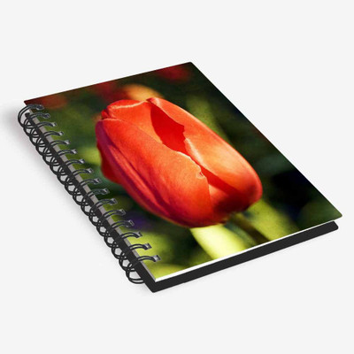 

inktree A5 Diary(Designer Diary, Multicolor)