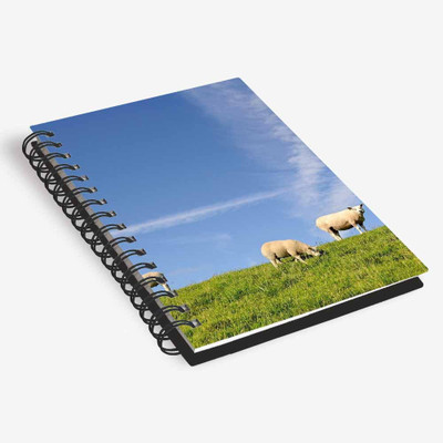 

inktree A6 Diary(Designer Diary, Multicolor)