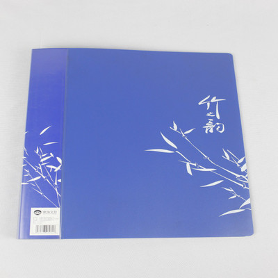 

VEGAINTER PLASTIC A4 SIZE SHEET(Set Of 6, Blue)