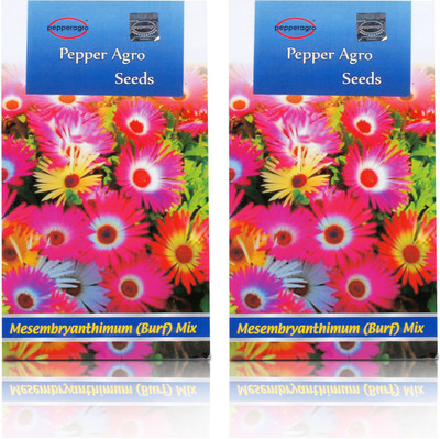 

Pepper Agro Burf(Mesembryanthemum) Heavens Mixed Flower seeds Seed(40 per packet)