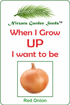 

Nirzara Garden Seeds Red Onion - 30 Seed(30 per packet)