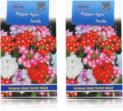 

Pepper Agro Verbena hybrida Ideal Florist Mixed Flower seeds Seed(70 per packet)