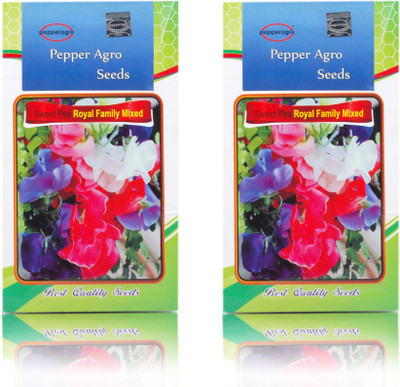 

Pepper Agro Sweet pea Rayal Family Mixed Flower seeds Seed(30 per packet)