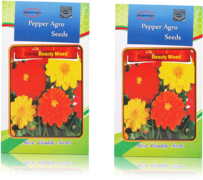 

Pepper Agro Dahlia Variablis Beauty Mixed Flower seeds Seed(100 per packet)