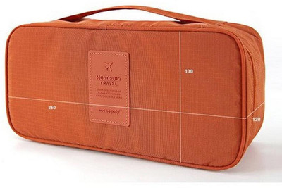 Styleys Innerwear Travel Organizer Innerwear Storage Bag (Orange)(Orange)