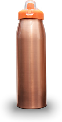 

TaamNeer Sipper Copper Bottle 850 ml Sipper(Pack of 1, Brown)