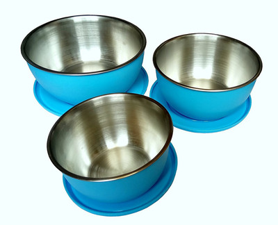 

Truphe Microwave Safe Stainless Steel Bowl, Heat & Serve Bowl Set of 3 Pcs - Sky Blue Size 20,18,16 cms (First Time In India) Stainless Steel Bowl Set(Blue)