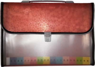 

KIDOZ KINGDOM PLASTIC FILE FOLDER - LIGHT ORANGE(Set Of 1, Orange)
