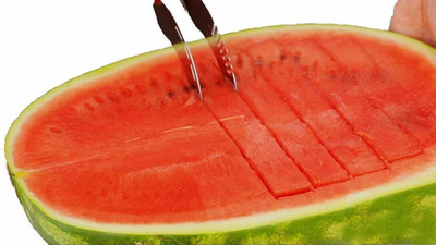 

bagonia BAGMELONSLICER NA Peeler(Green)