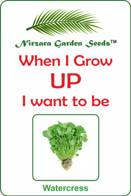 

Nirzara Garden Seeds Watercress - 30 Seed(30 per packet)