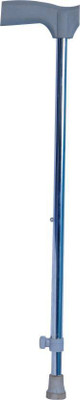 

PHYSIQO walk01 Walking Stick
