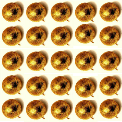 

Indeavour INDXMSD001 Ornamental Bells Pack of 25