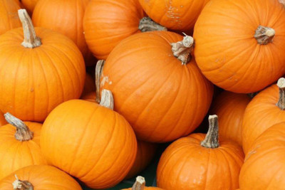 

Bio Kisan HYBRID PUMPKIN DEV Seed(10 per packet)