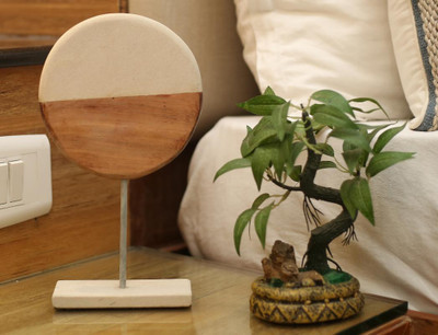 

Organic Home Dual Tone Medallion Decorative Showpiece - 25 cm(Stoneware, Wooden, Beige, Brown)