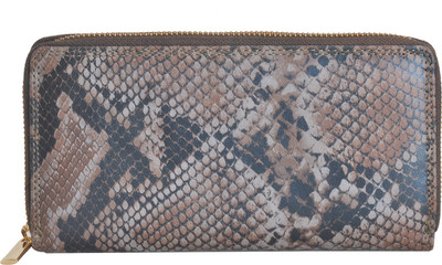 VALENORE Casual Brown Clutch