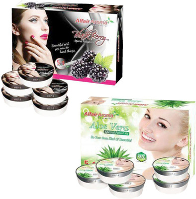 

Alfair Aroma BlckBerry Aloe Vera Facial Kit 900 g(Set of 2)