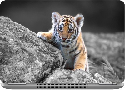 imbue small tiger high quality vinyl Laptop Decal 15.6