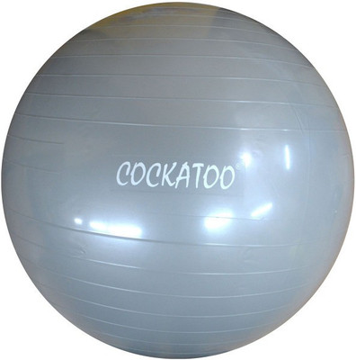 

COCKATOO Anti Burst Gym Ball, Grey