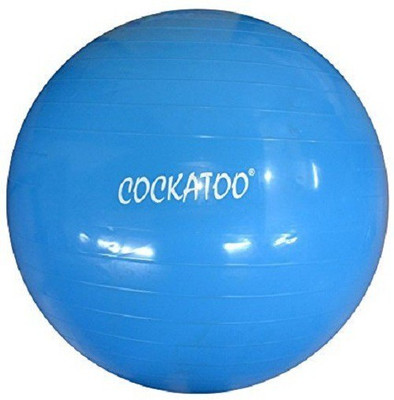 

COCKATOO Anti Burst Gym Ball, Blue