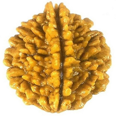SHIVOHAM Lab Certified Two Mukhi Rudraksha Wood Pendant