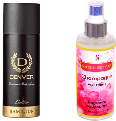 

Denver CALIBER with SHEER SECRET CHAMPAGNE WOMEN(Set of 2)