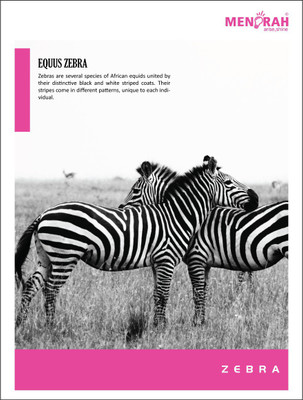 

Menorah Regular Notebook(Crown Softcover - Single Ruled -180Pages (Animals ), Multicolor, Pack of 4)