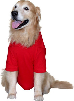 

Doxters T-shirt for Dog(Red