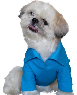 

Doxters T-shirt for Dog(Turqoise Blue