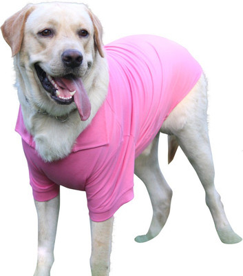 

Doxters T-shirt for Dog(Pink
