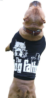 

Doxters T-shirt for Dog(Black