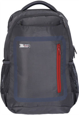 

VIP Delta IV 47 L Laptop Backpack(Grey)