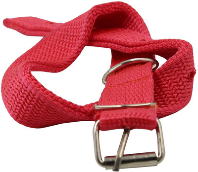 

Sollar's M Dog Everyday Collar(, Red