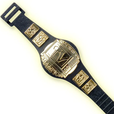 

Figures Toy Company Television Championship Belt For Wwe Wrestling Action Figures(Multicolor)