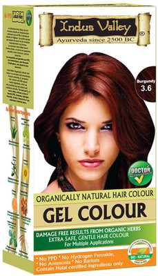 

Indus Valley Organically Natural Gel Burgundy 3.6 Hair Color(Burgundy)