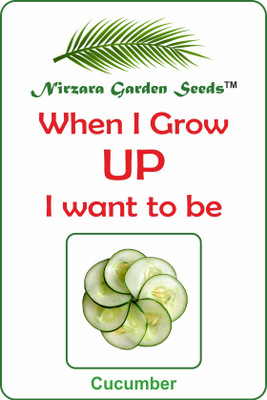 Nirzara Garden Seeds Cucumber (Kheera) - 30 Seed(30 per packet)
